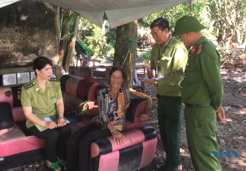 Xử lý nghiêm các trường hợp bẫy bắt, tận diệt chim hoang dã, chim di cư