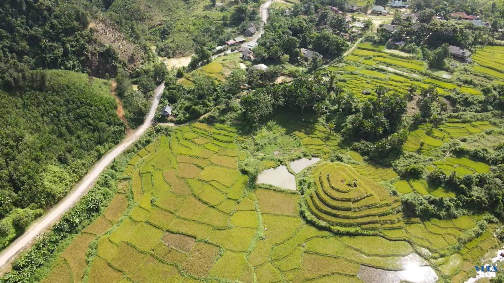 Lễ hội Chá Mùn đón nhận di sản văn hóa phi vật thể Quốc gia trong tháng 10/2024