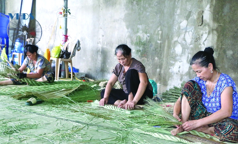 Thăng trầm... đời cói