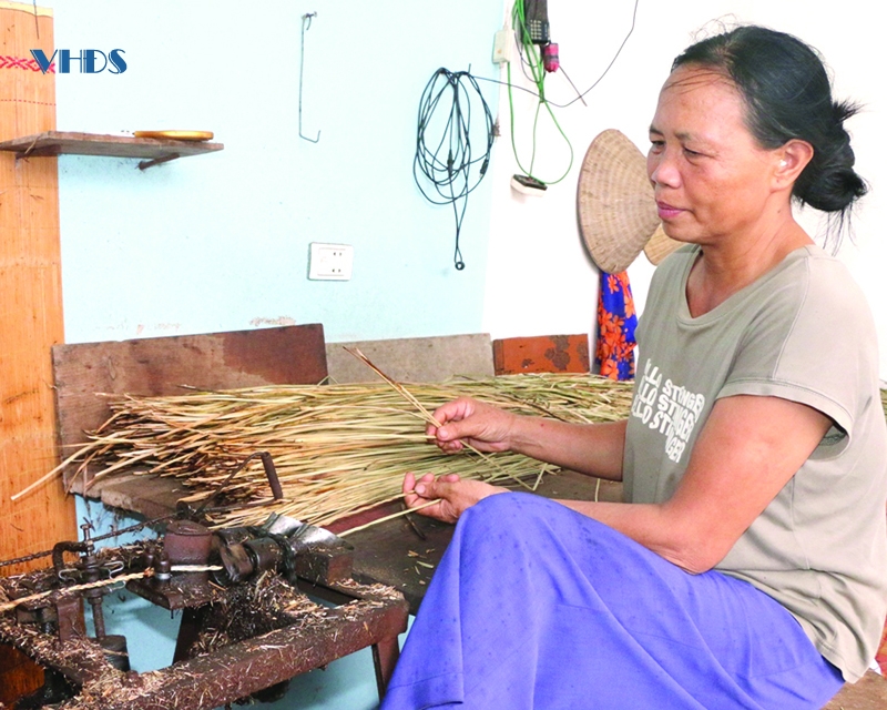 Thăng trầm... đời cói