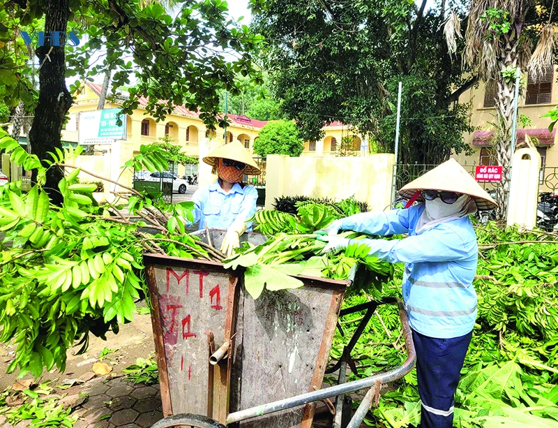 Chuyện những người làm đẹp phố phường