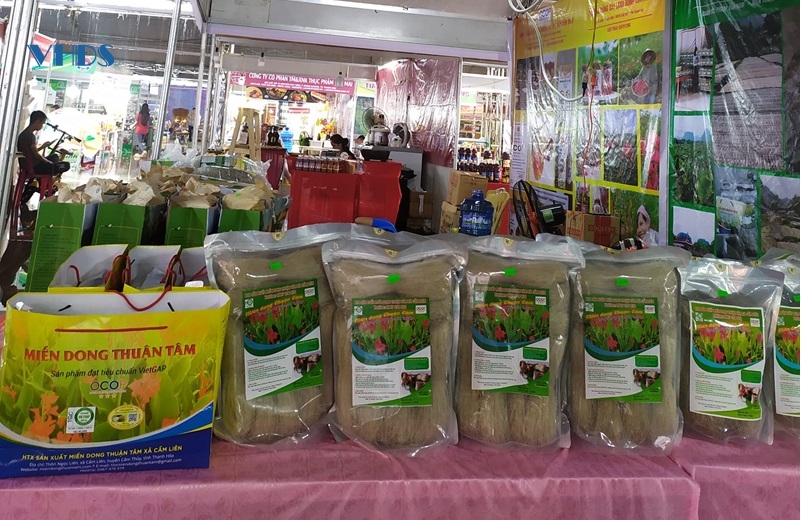 Phát huy lợi thế cây dong riềng trên đất Cẩm Liên