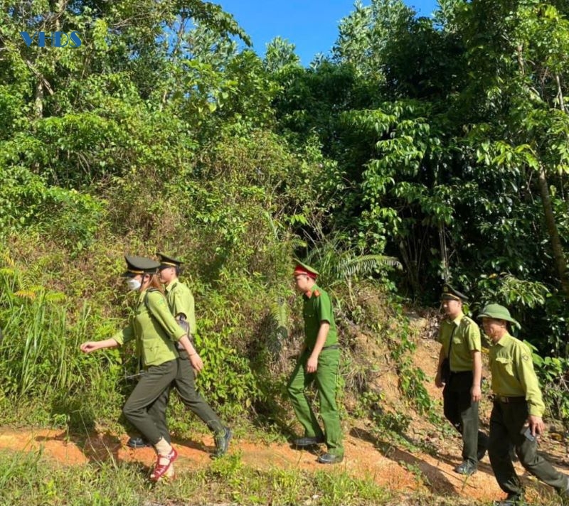 Góp phần giữ vững an ninh rừng