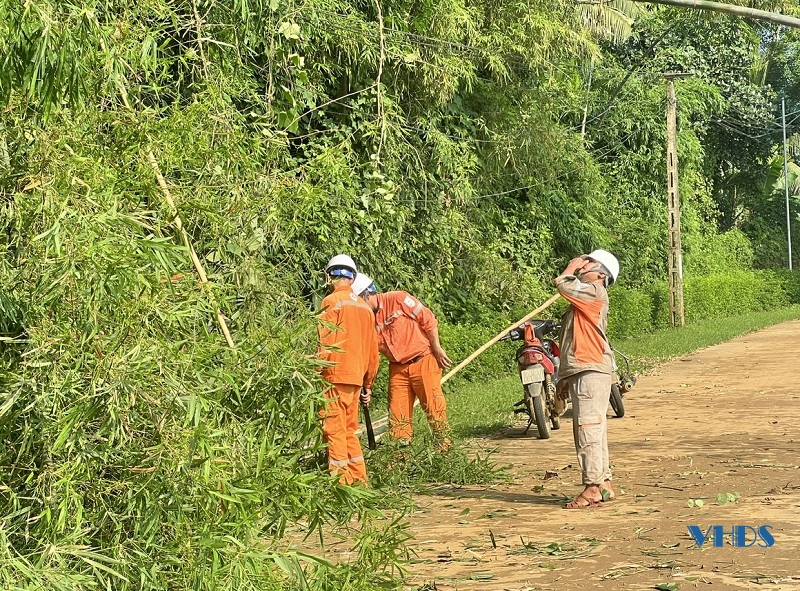 Tăng cường quản lý hành lang an toàn lưới điện