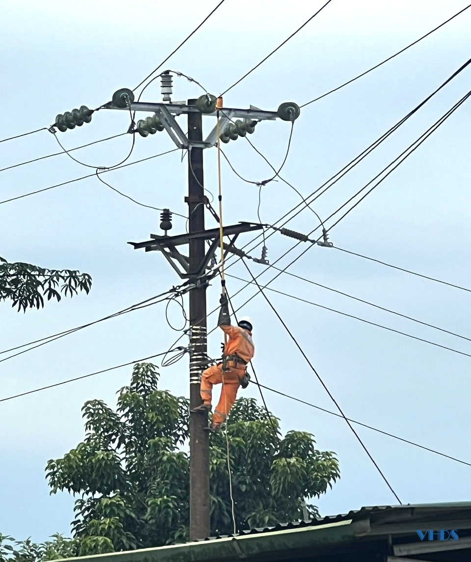 Tăng cường quản lý hành lang an toàn lưới điện