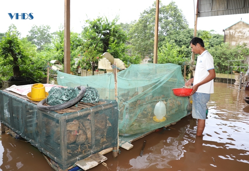 Chưa kịp mừng vì nước rút, gần 100 hộ dân khu phố Ngọc Bồ lại bị ngập nhà cửa