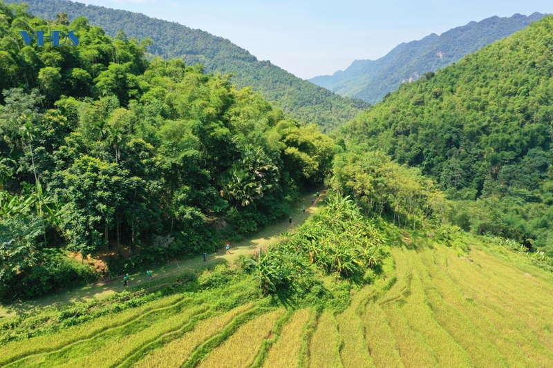 VĐV từ khắp nơi trên thế giới sẵn sàng chinh phục Vietnam Jungle Marathon – Pù Luông 2024