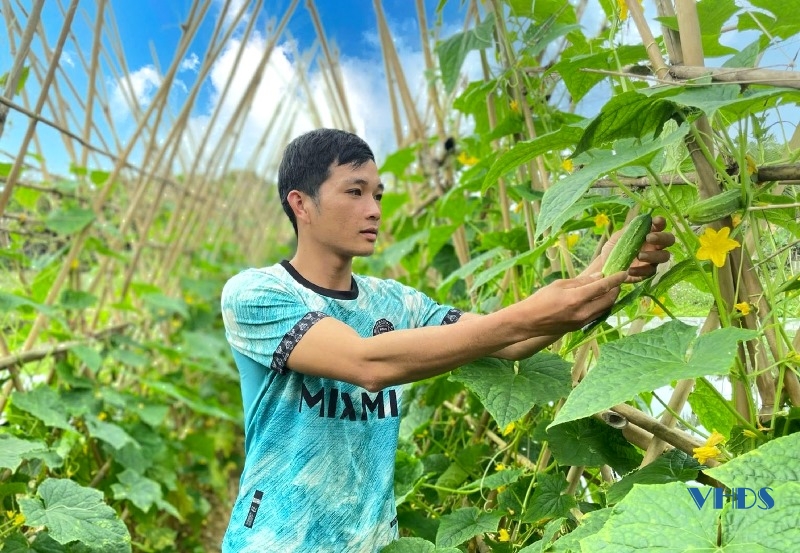 Diện mạo nông thôn mới ở xã miền núi Bình Lương