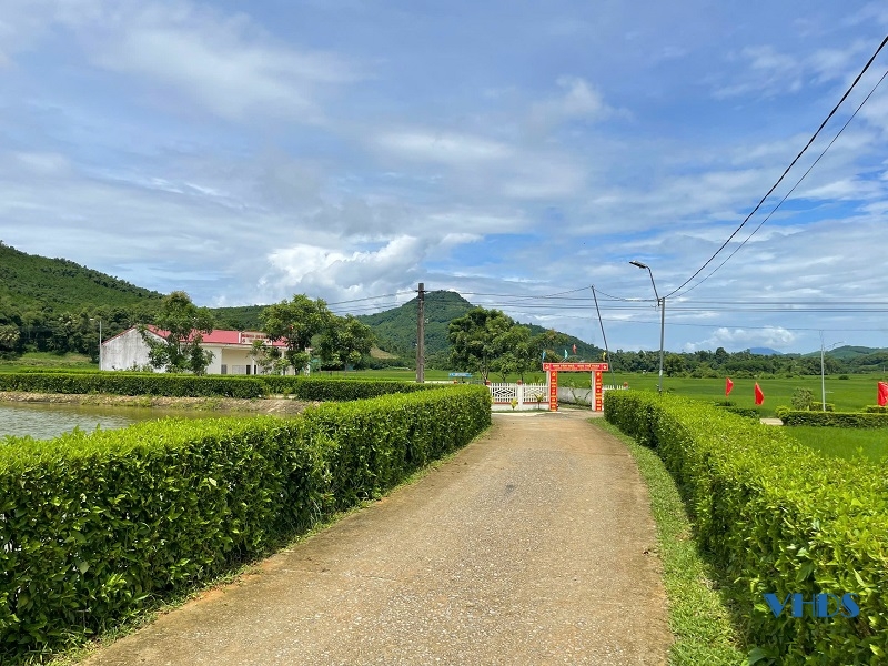 Ngọc Lặc trồng trên 610km hàng rào xanh