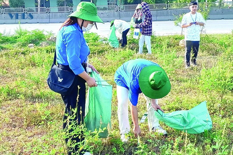 Tiêu dùng xanh trong giới trẻ