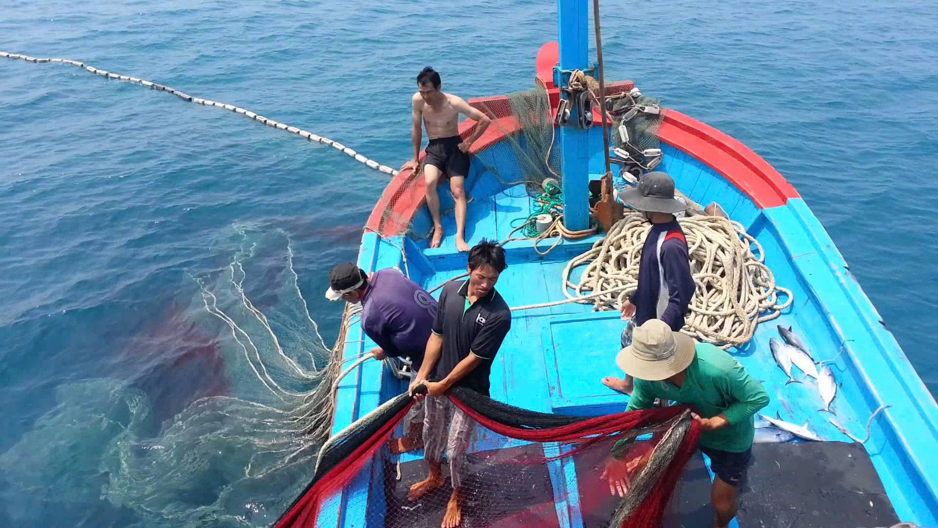 Tình biển ngày đông
