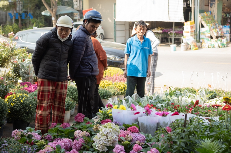 “Lạc” vào phố hoa, cây cảnh lớn nhất TP Thanh Hóa