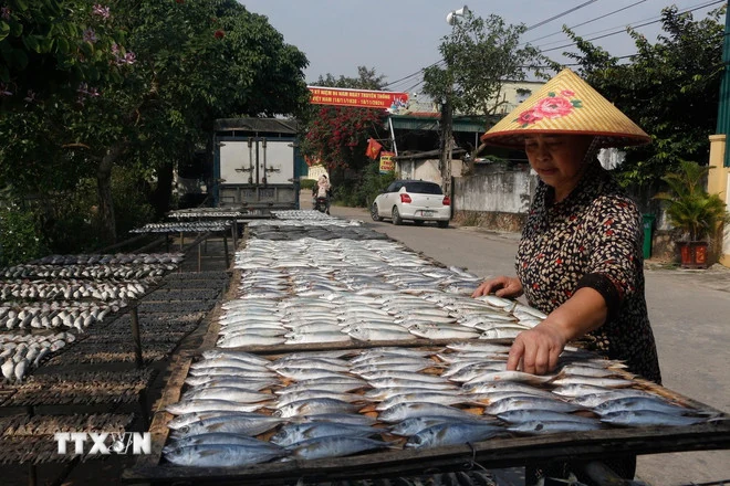 Những làng nghề nướng cá Nghệ An sôi động dịp Tết