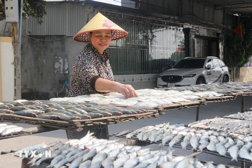 Những làng nghề nướng cá Nghệ An sôi động dịp Tết