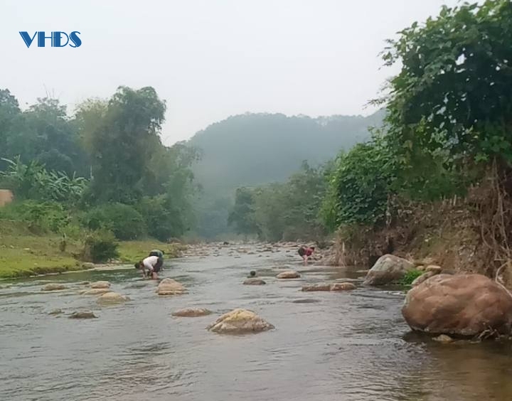 Rêu đá - “thứ quà” bên dòng suối Xim