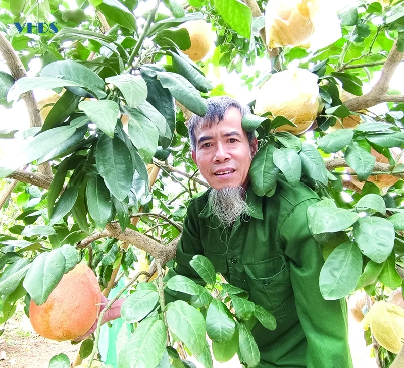 Tết “ấm” làng nghề... (Bài 2): Xuân về - cơ hội lan tỏa nghề truyền thống