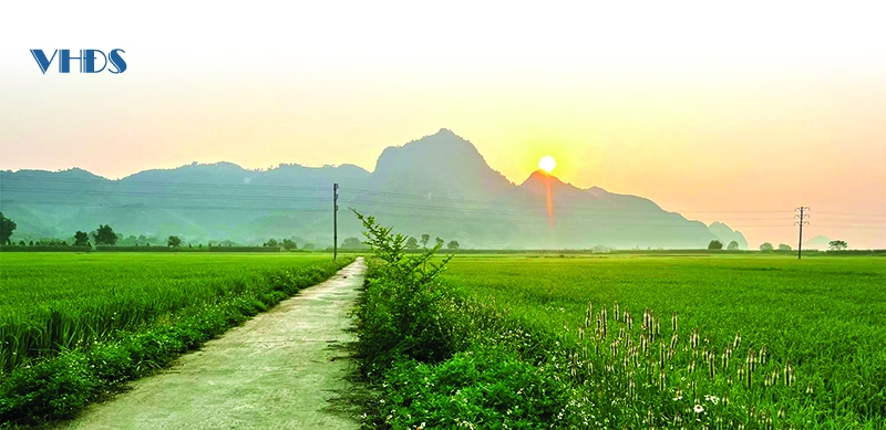 Tết và sự trở về...