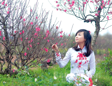 Chạm miền xanh thẳm