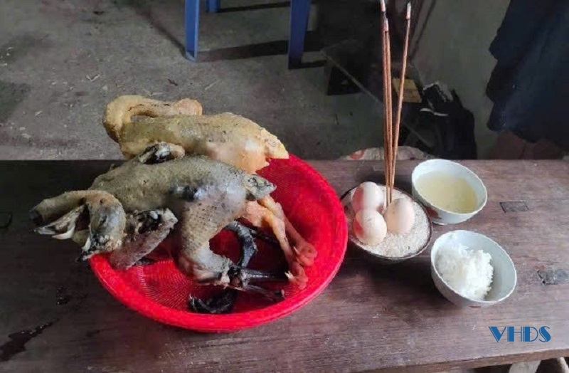 Tết con gà của đồng bào Mông