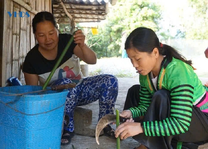 Tết con gà của đồng bào Mông