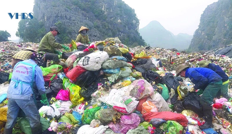 Trên “cánh đồng rác”...