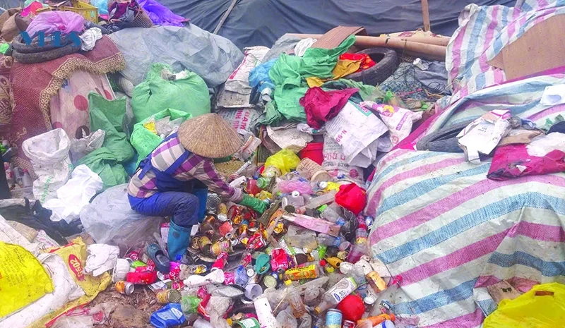 Trên “cánh đồng rác”...