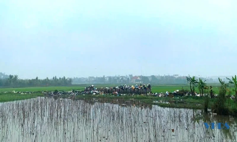 Bãi rác nơi đồng ruộng
