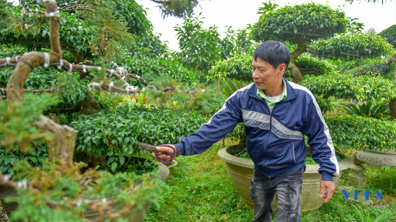 Chủ nhân vườn cây cảnh đẹp như mơ ở Triệu Sơn 