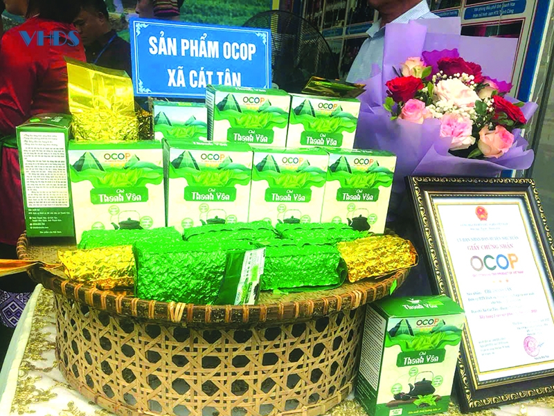 Tâm tư trên những vùng chè (bài 3): Nâng tầm giá trị cho chè xứ Thanh