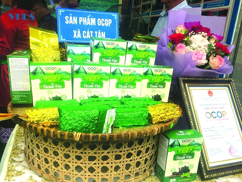 Tâm tư trên những vùng chè (bài 3): Nâng tầm giá trị cho chè xứ Thanh