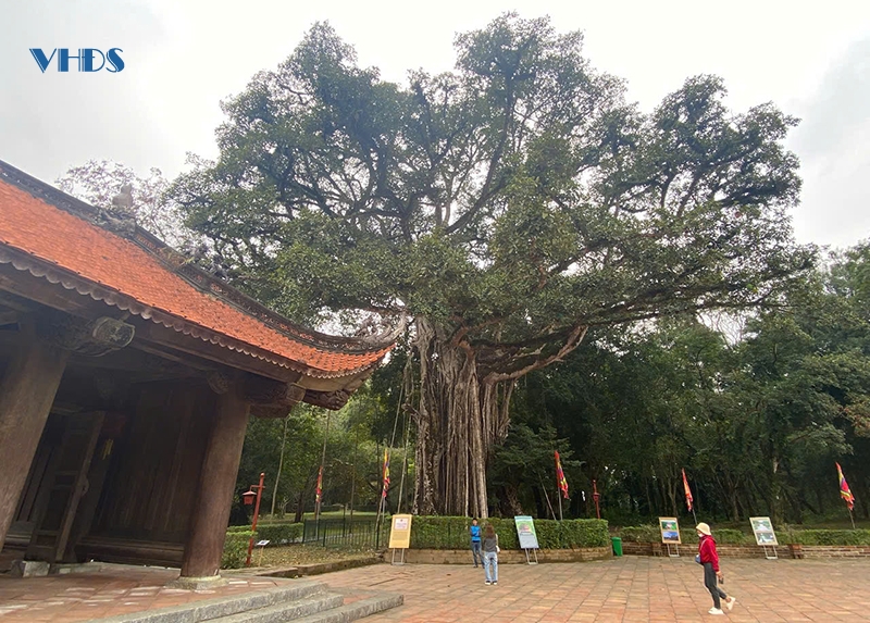 Ngày xuân thăm đất Lam Kinh