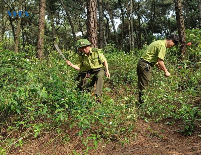 Hạt Kiểm lâm Hà Trung tăng cường phòng cháy, chữa cháy rừng
