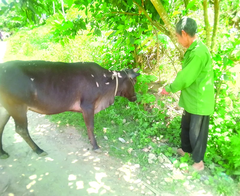 Trả lại bình yên (Bài 2): “Cuộc chiến” mới...