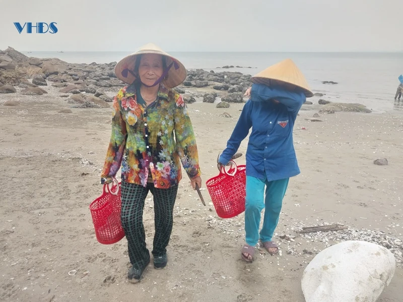 Hàu ơi...