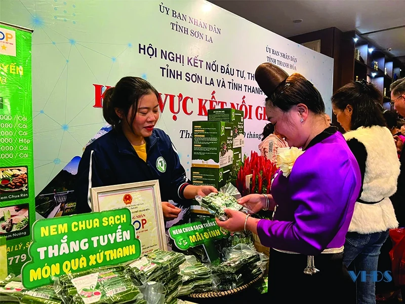 Ứng dụng khoa học kỹ thuật, nâng tầm sản phẩm OCOP