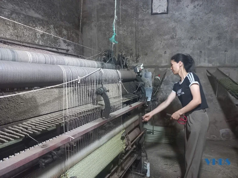 Ứng dụng khoa học kỹ thuật, nâng tầm sản phẩm OCOP