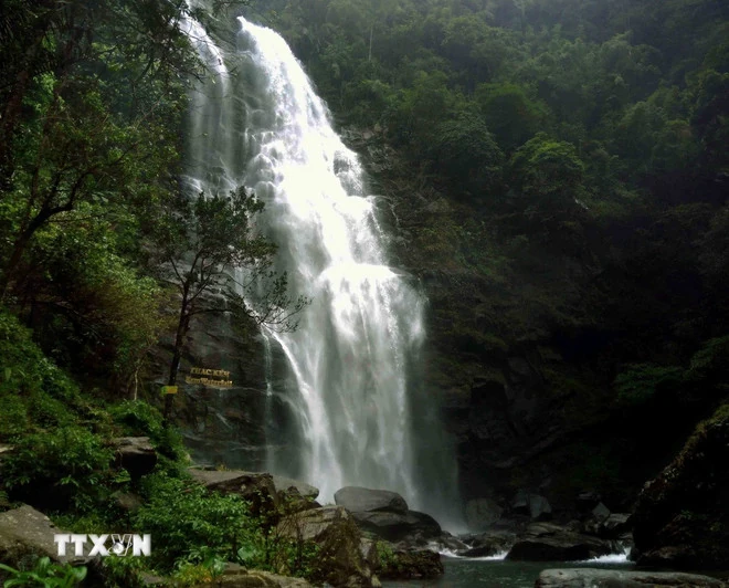 7 thác nước tuyệt đẹp của Việt Nam bạn nên trải nghiệm ít nhất một lần trong đời