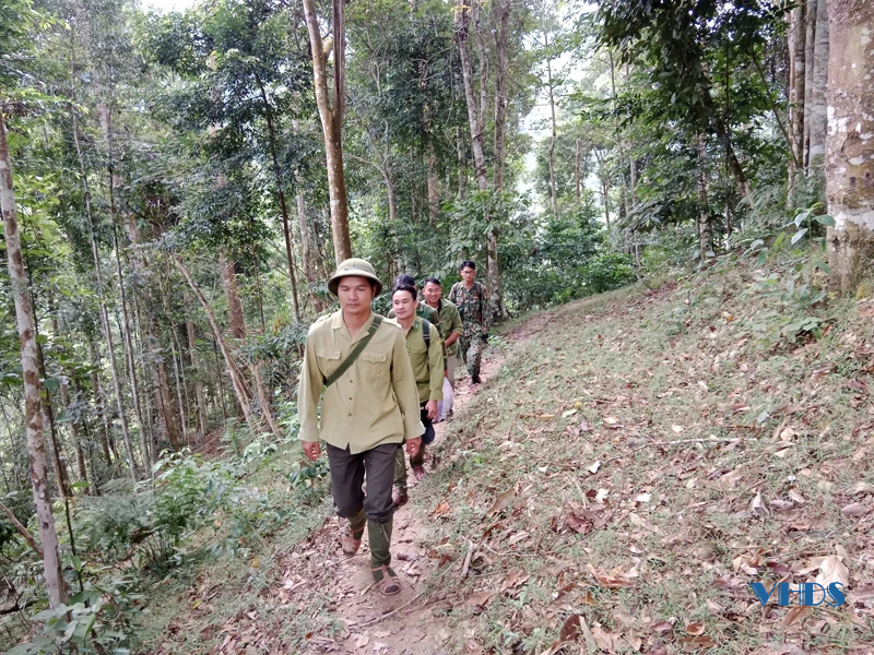 Giữ rừng trên dãy Pù Hu