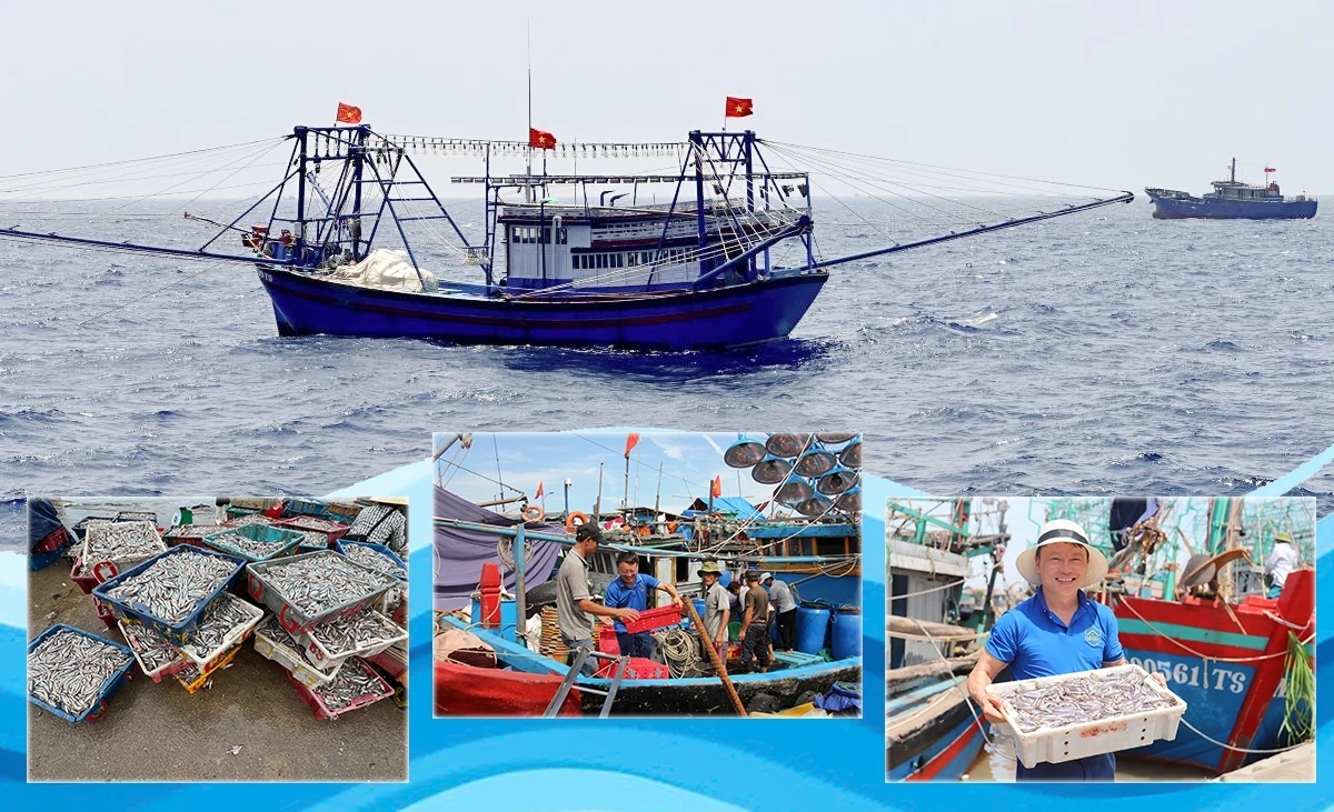 CEO Lê Anh, Công ty THNHH Thực phẩm & Thương mại dịch vụ Lê Gia: “Với một doanh nghiệp mới khởi sự, mọi sự hỗ trợ lúc sơ khai đều vô cùng đáng quý”