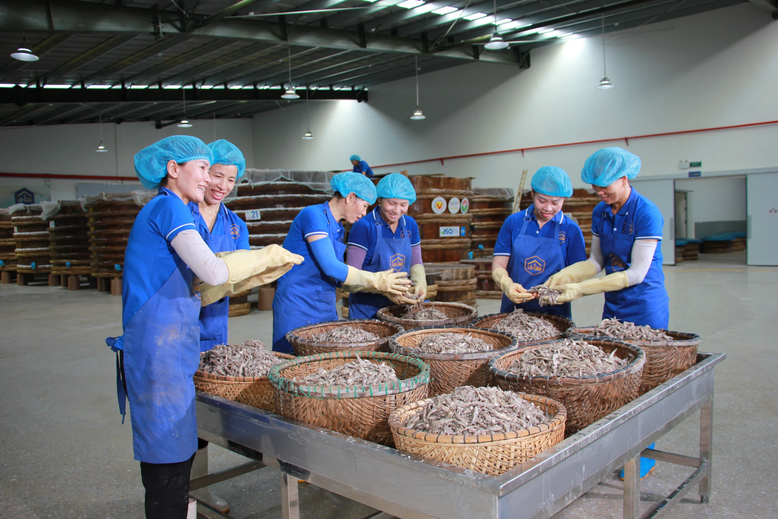 CEO Lê Anh, Công ty THNHH Thực phẩm & Thương mại dịch vụ Lê Gia: “Với một doanh nghiệp mới khởi sự, mọi sự hỗ trợ lúc sơ khai đều vô cùng đáng quý”