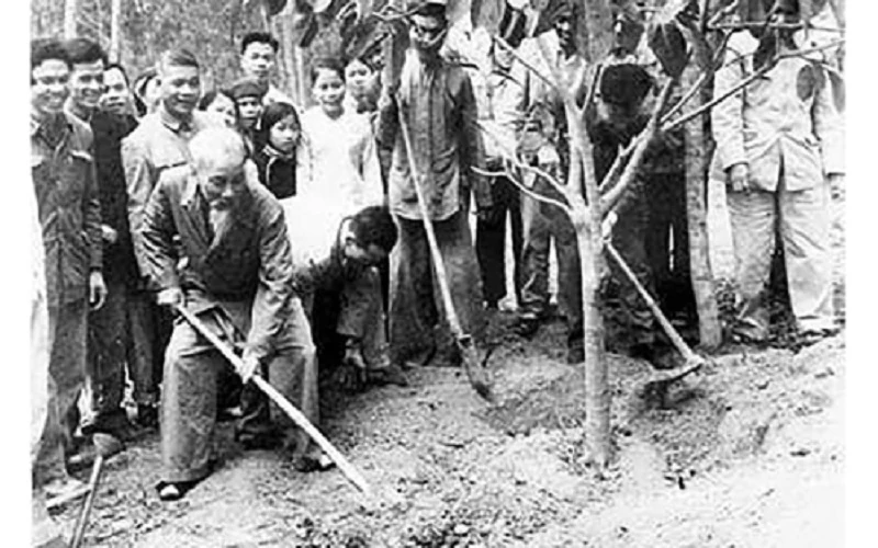 Ngày này năm xưa (28/11): Bác Hồ phát động phong trào Tết trồng cây