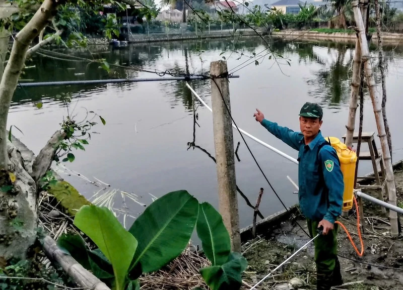 Biến bãi lầy thành trang trại tổng hợp, thu nhập hàng trăm triệu mỗi năm