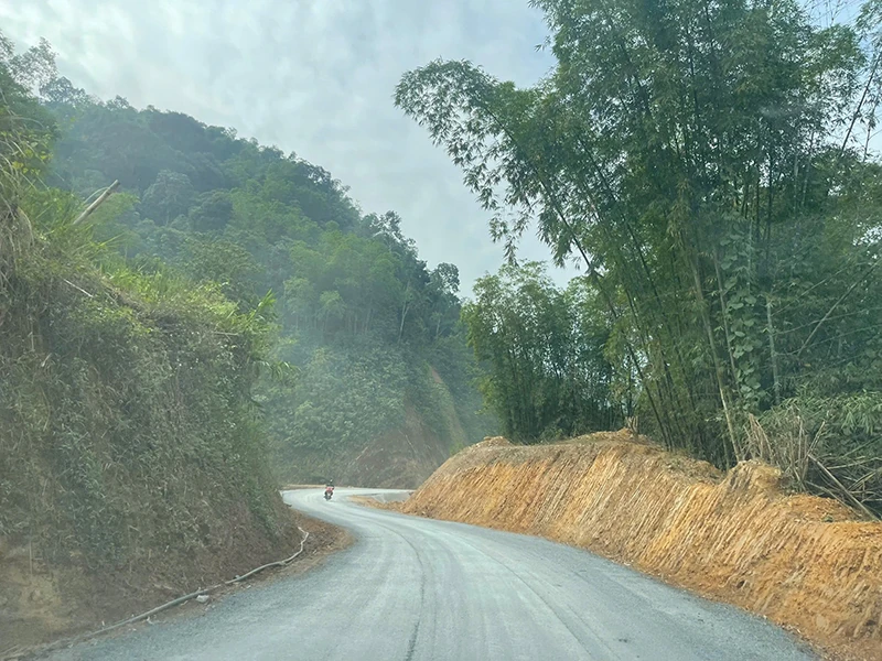 Đại ngàn không còn xa