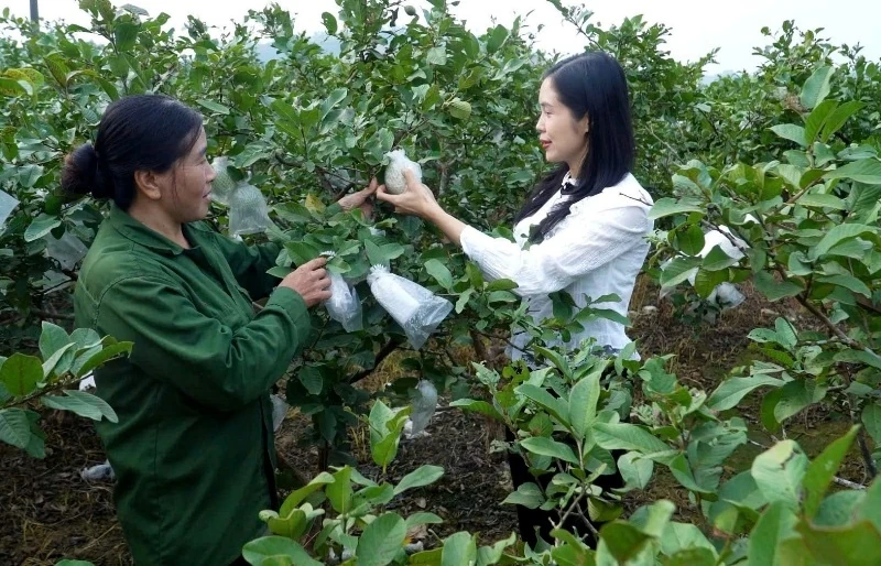 Xã Ngọc Trạo bứt phá bền vững từ giảm nghèo đa chiều