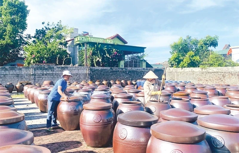 Tặng Bằng khen 5 tập thể, cá nhân có thành tích trong phát triển Liên minh Hợp tác xã tỉnh Thanh Hóa