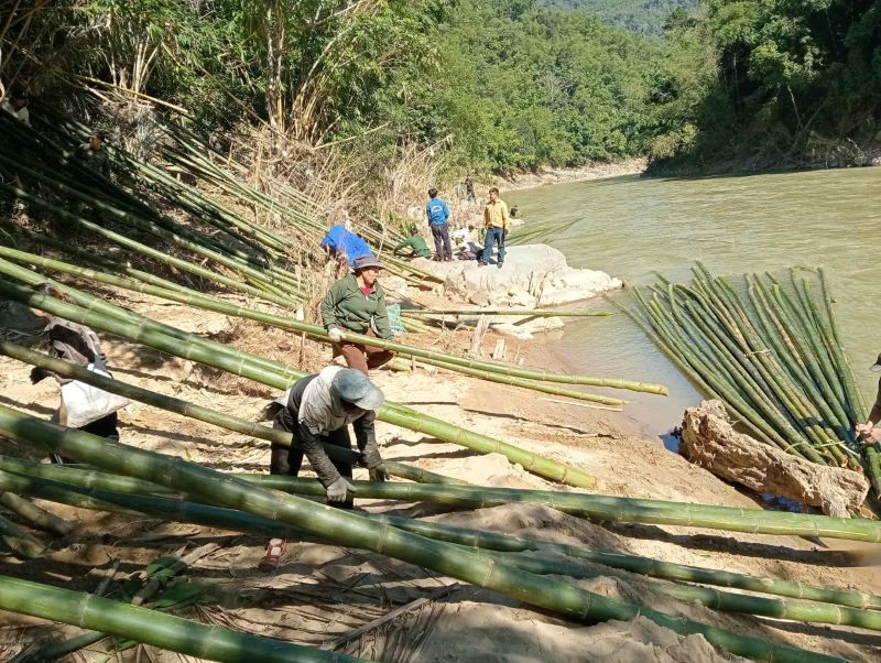 Thanh niên xã Sơn Điện hỗ trợ bà con chặt luồng gây quỹ