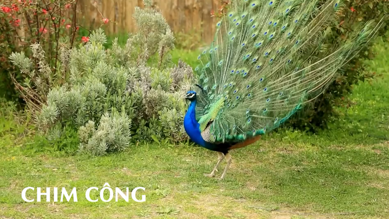 Thế giới quanh em