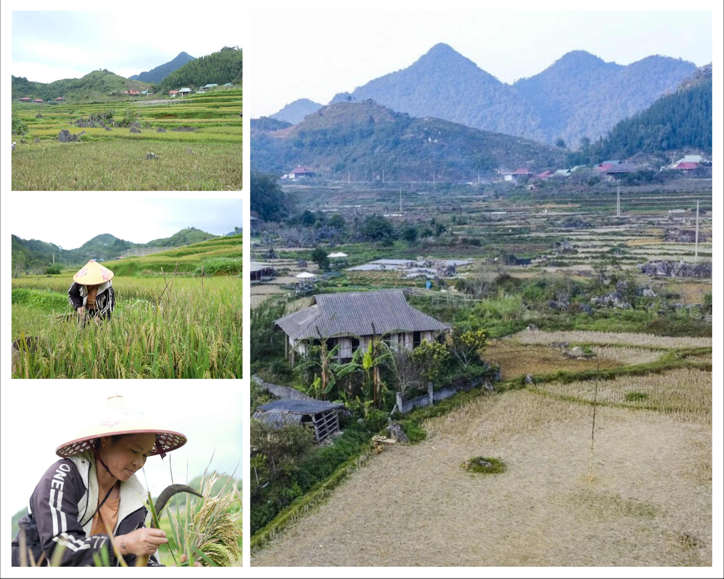 [E-Magazine] Sắc màu mới trên Son - Bá - Mười