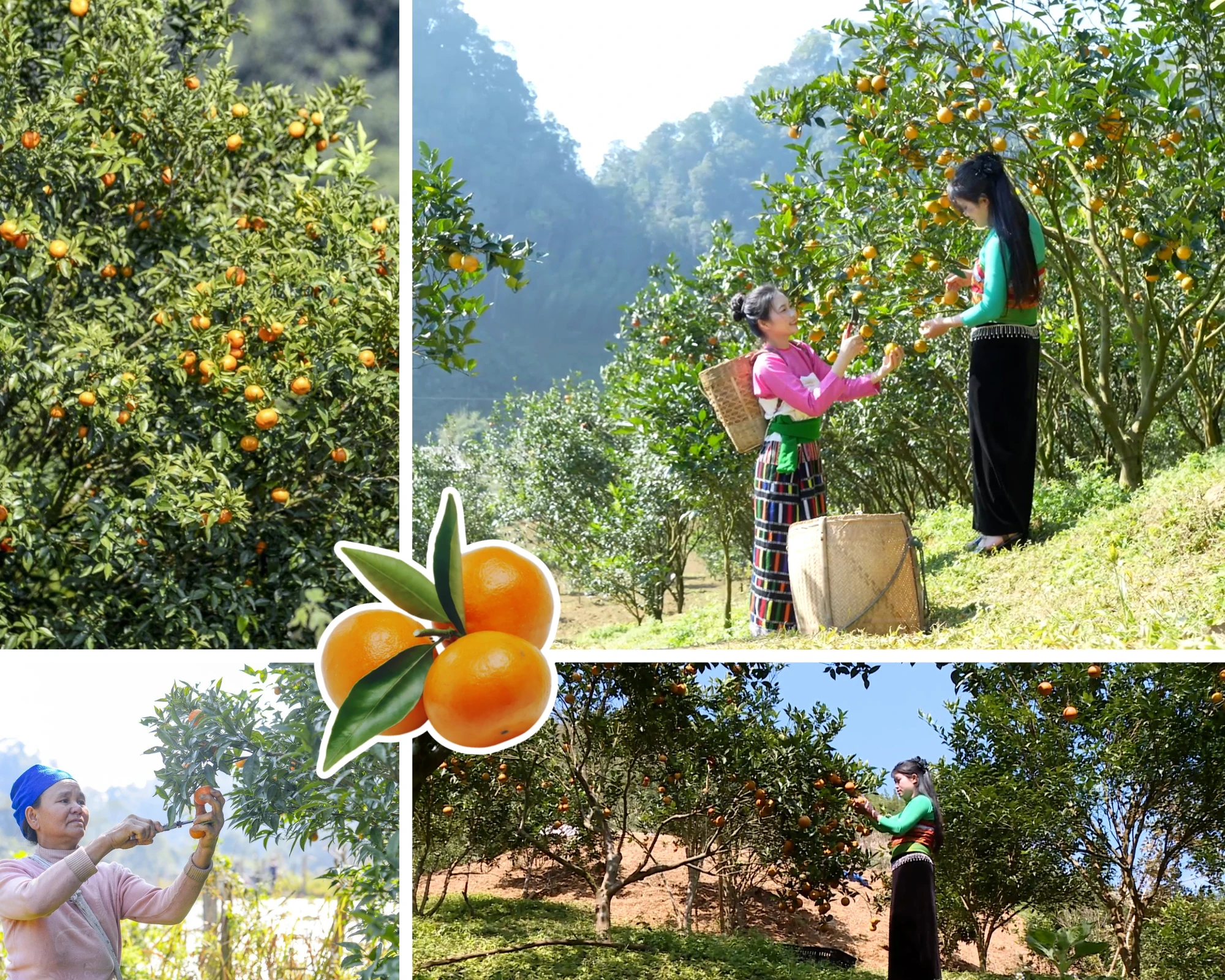 [E-Magazine] Sắc màu mới trên Son - Bá - Mười