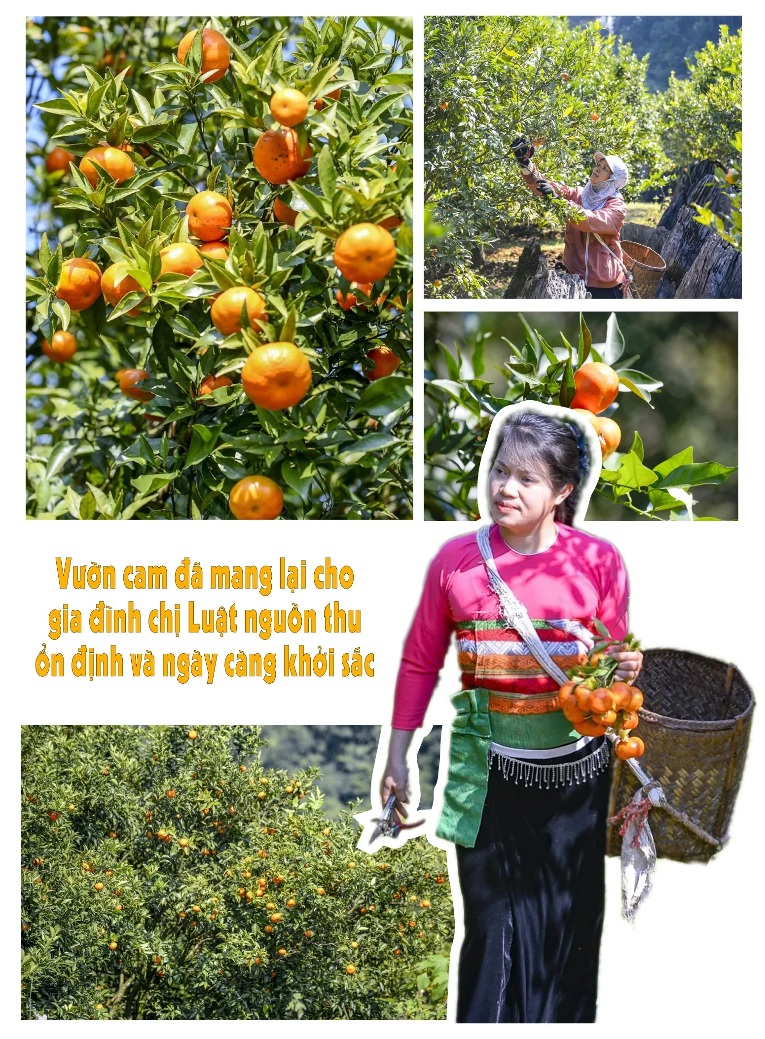 [E-Magazine] Sắc màu mới trên Son - Bá - Mười